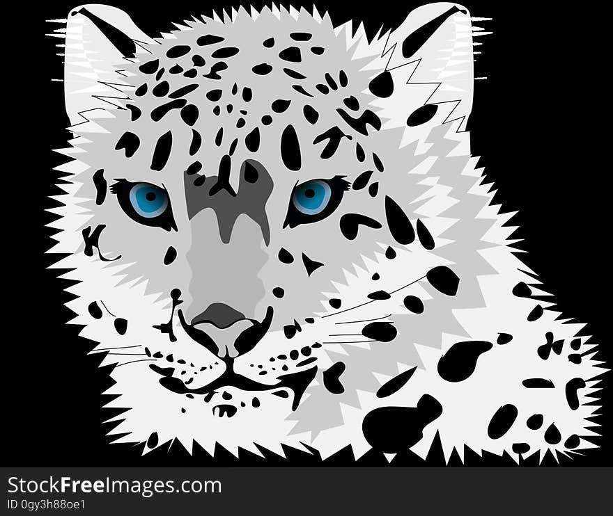 Black And White, Black, Face, Leopard