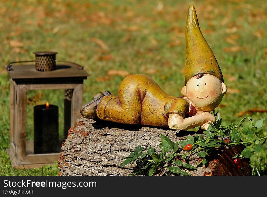 Garden Gnome, Lawn Ornament, Grass, Leaf