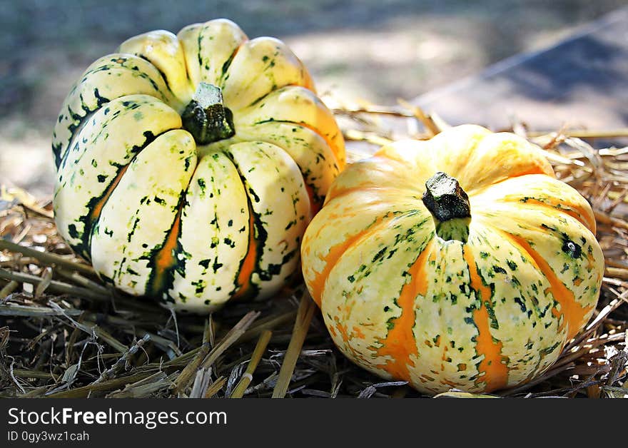 Winter Squash, Cucurbita, Vegetable, Cucumber Gourd And Melon Family