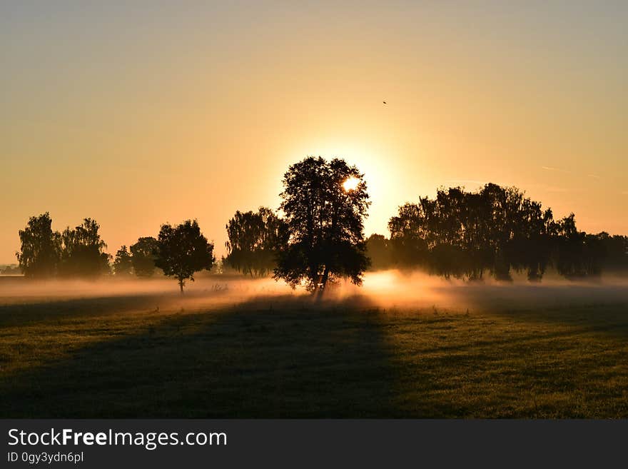 Sunrise, Dawn, Morning, Sky