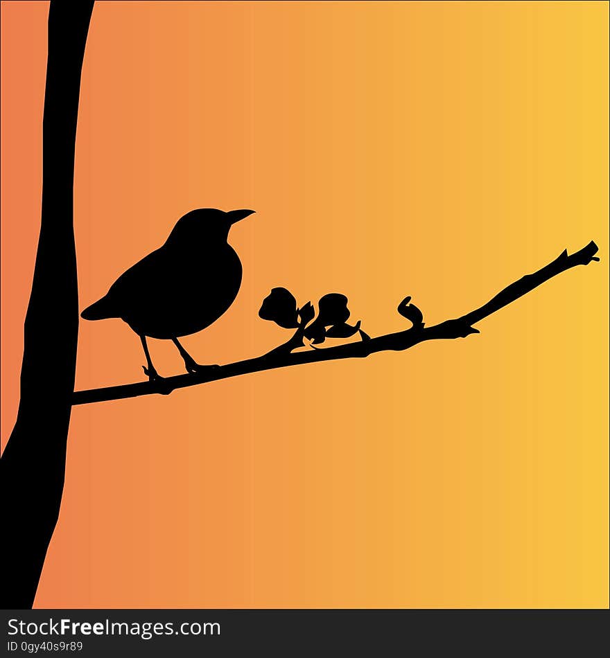 Bird, Beak, Silhouette, Fauna