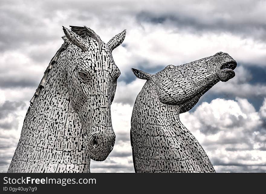 Black And White, Mammal, Head, Sculpture