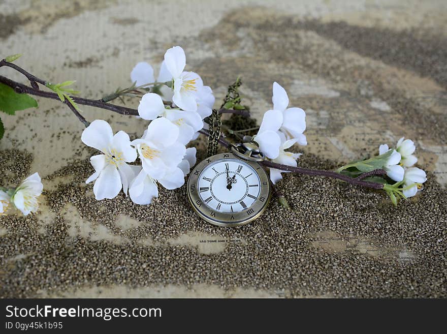 Flower, Plant, Spring, Flora