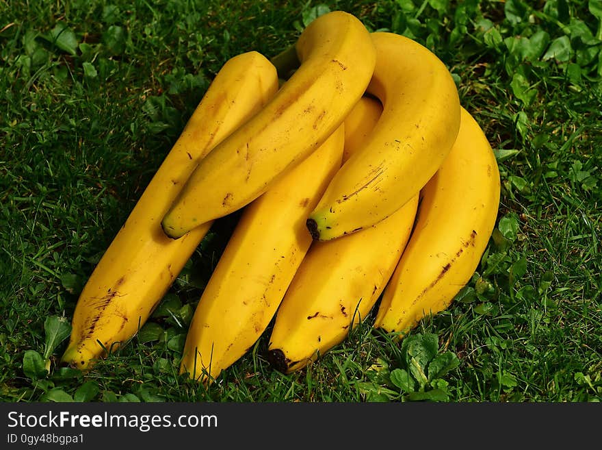 Banana, Yellow, Produce, Banana Family