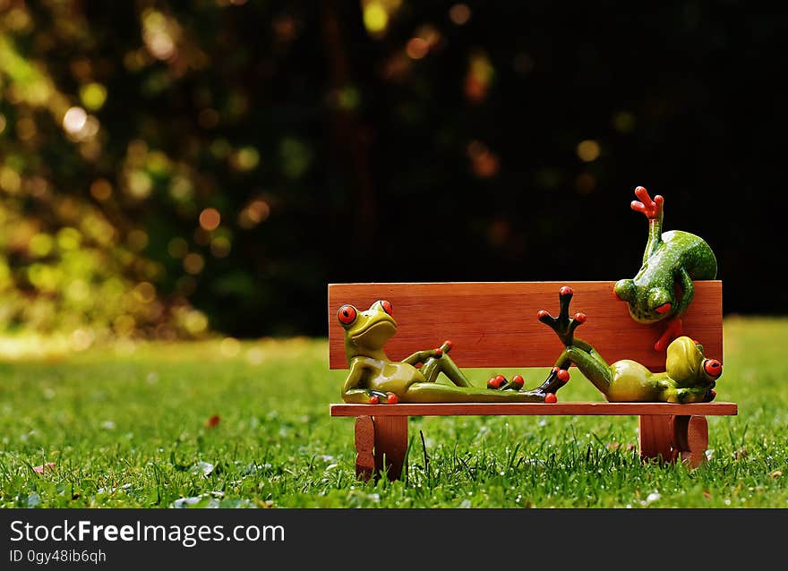 Nature, Grass, Leaf, Plant