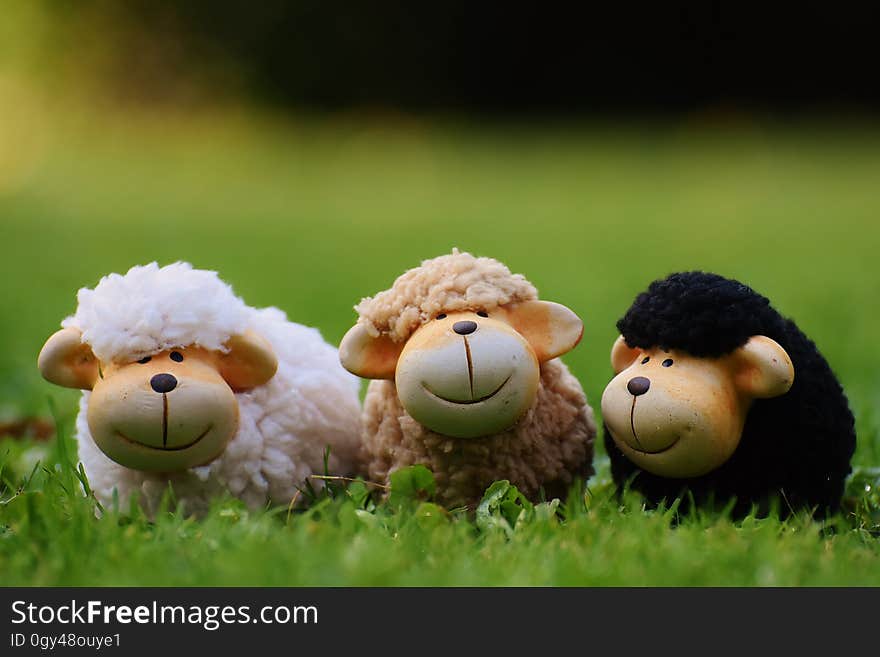 Mammal, Stuffed Toy, Sheep, Grass