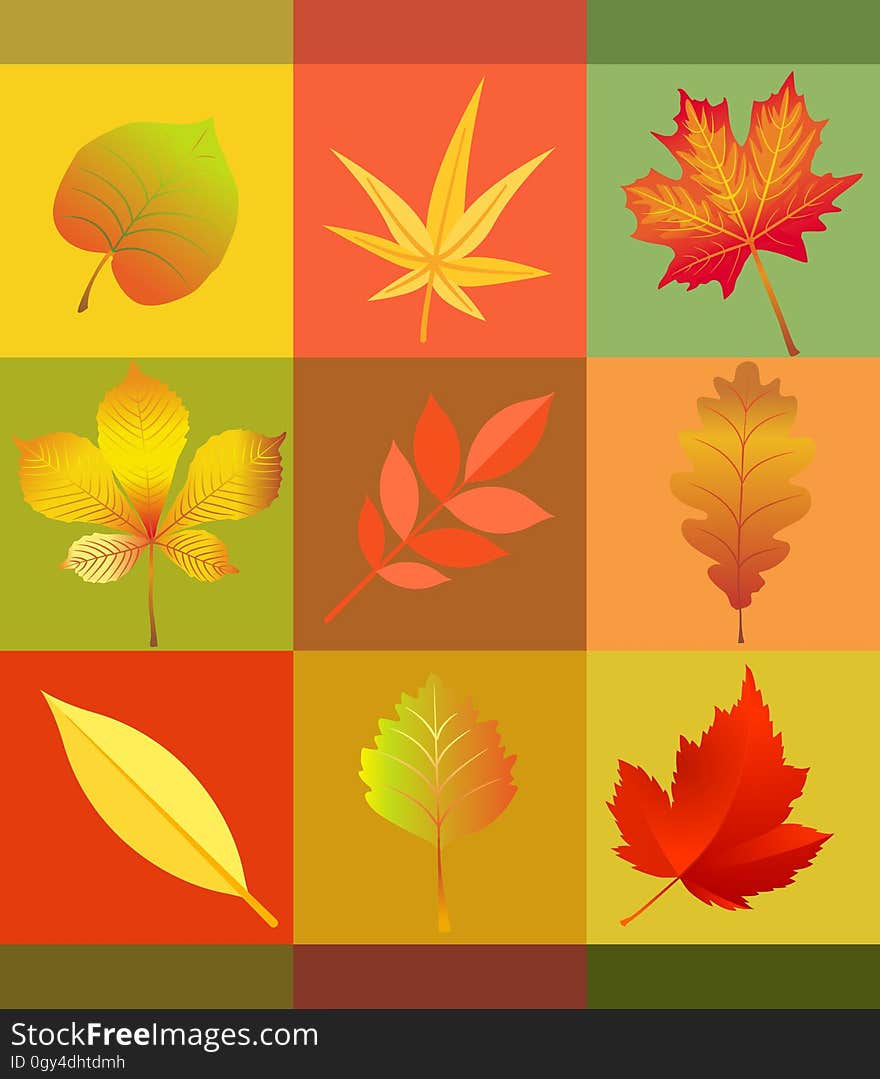 Leaf, Orange, Maple Leaf, Flower