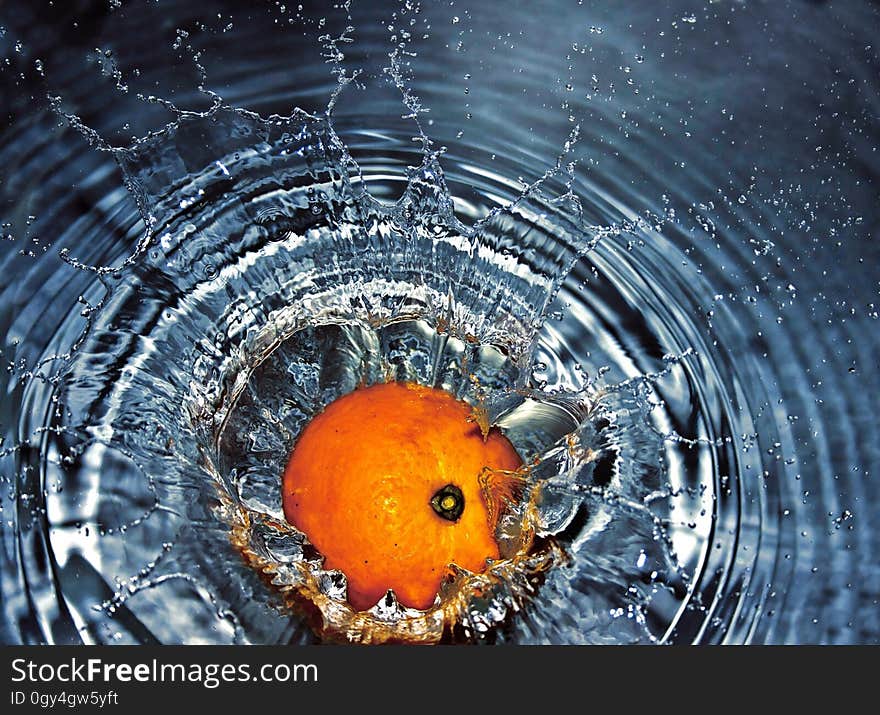 Water, Close Up, Reflection, Drop