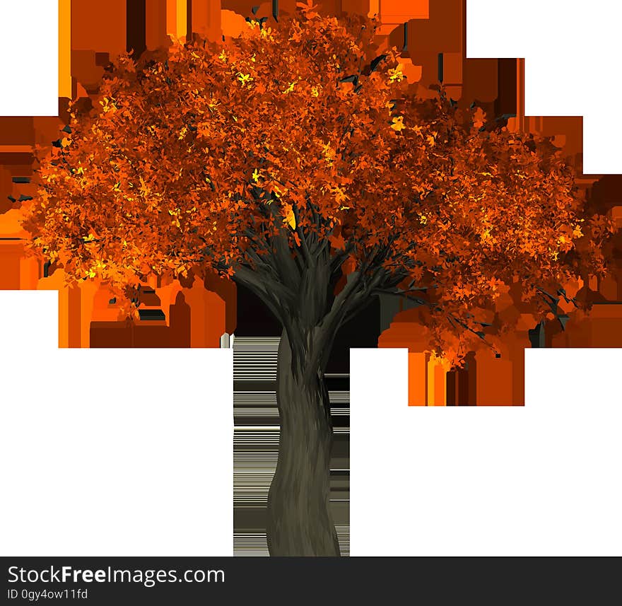 Tree, Leaf, Orange, Autumn