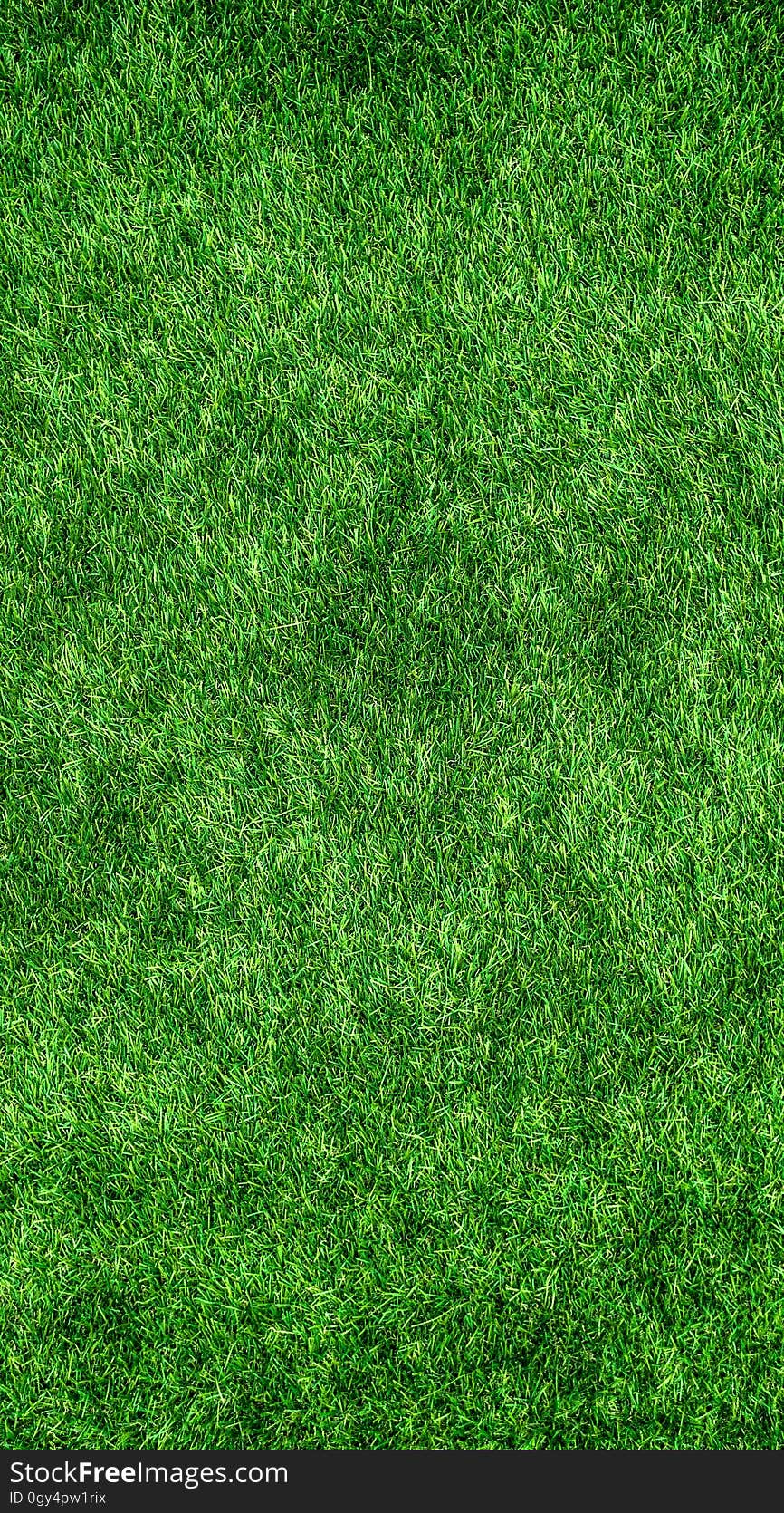 Green, Grass, Vegetation, Lawn