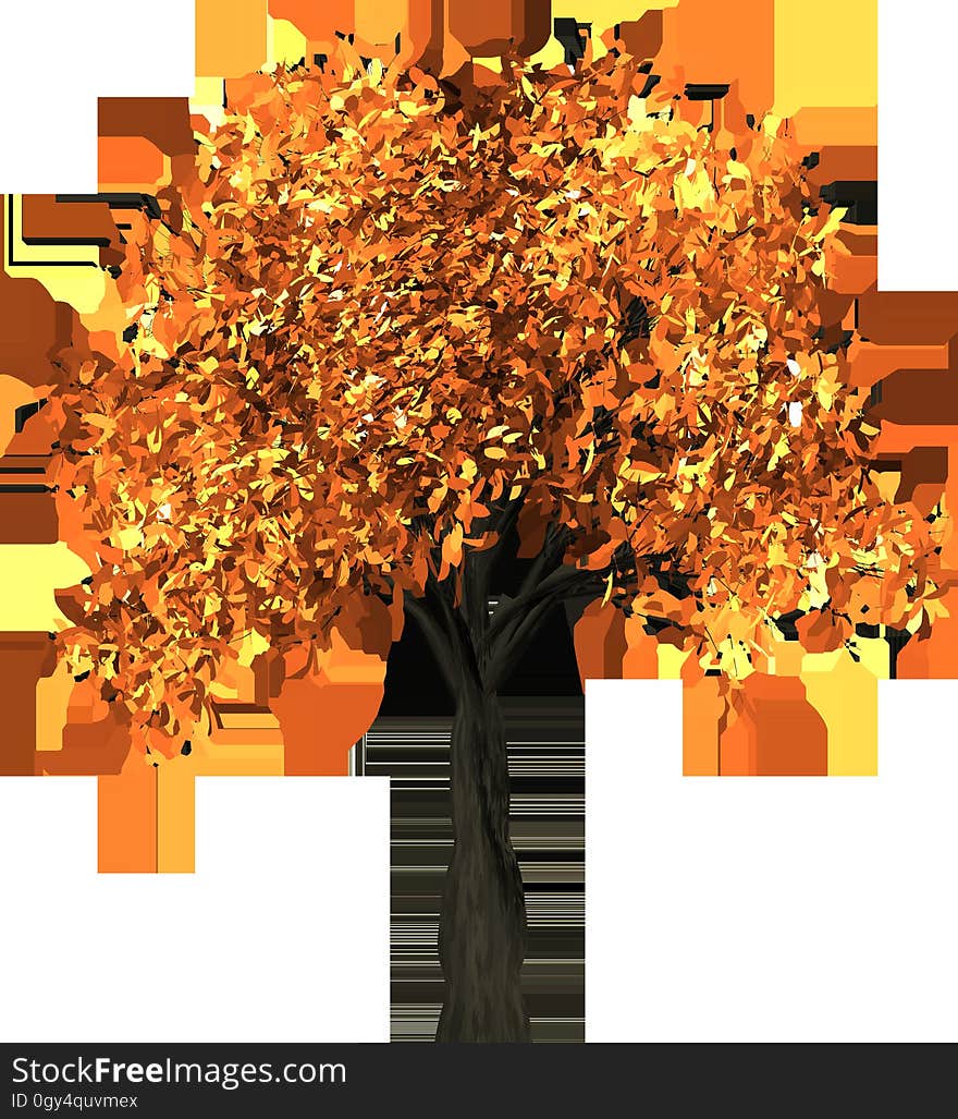 Tree, Orange, Leaf, Plant