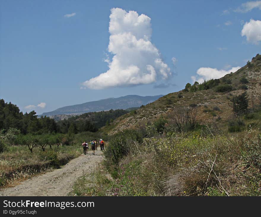 Cloud, Sky, Plant, Plant community, Leaf, Natural landscape