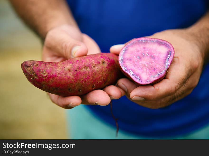 Hand, Plant, Finger, Gesture, Pink, Tree