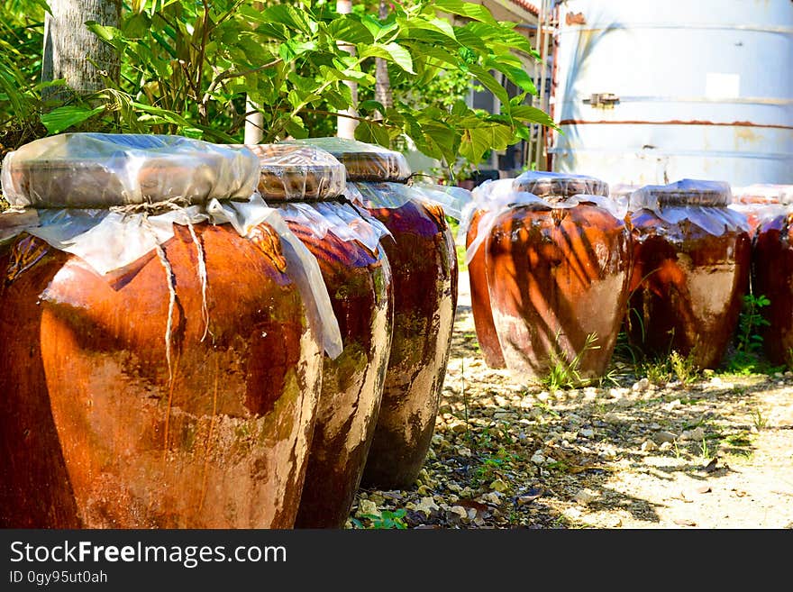 Plant, Wood, Trunk, Grass, Tree, Gas