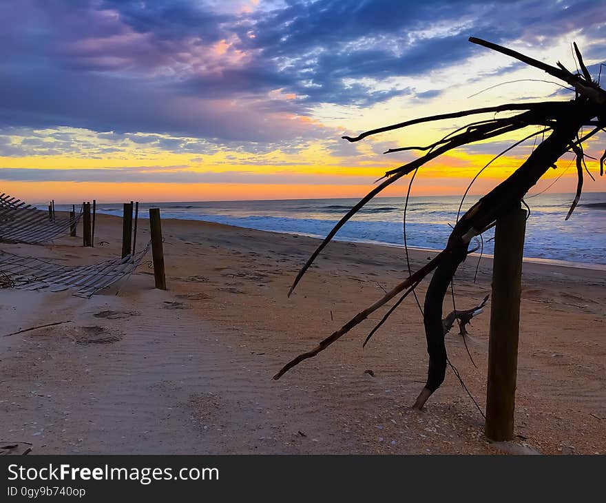 Sea Shore during Sunset