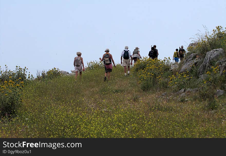 Plant, Plant community, Ecoregion, Sky, People in nature, Natural landscape