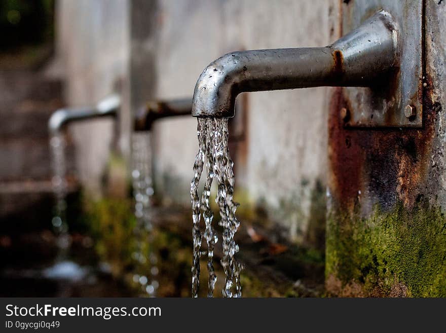 Water, Metal, Tree