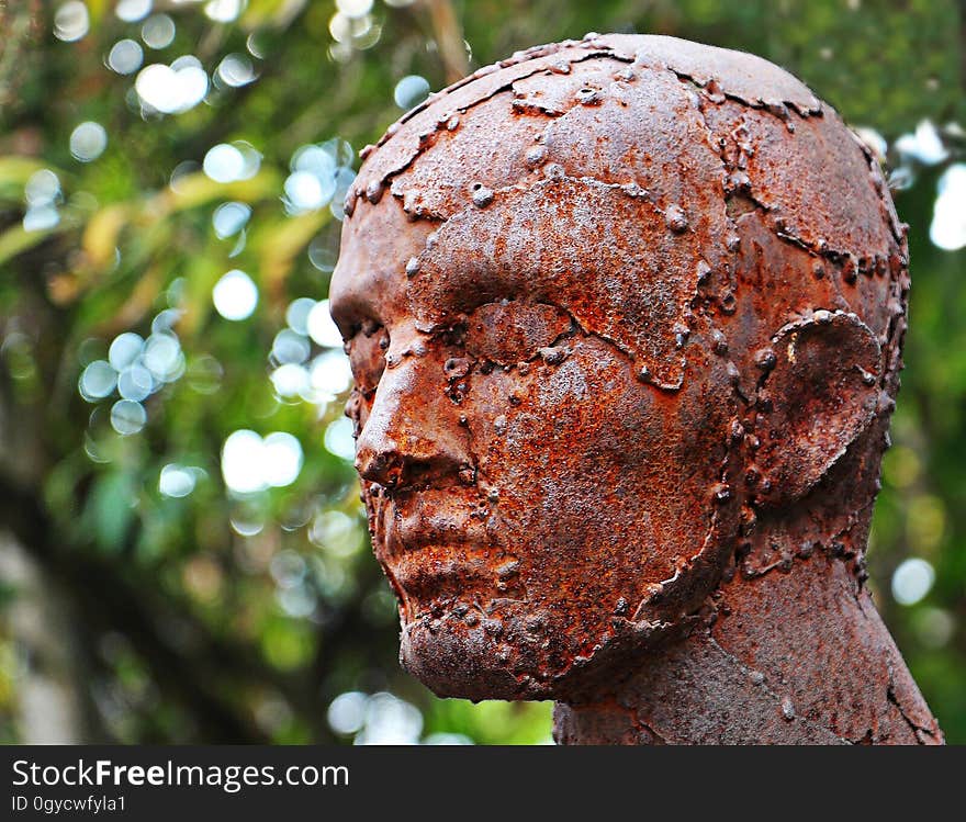 Head, Tree, Sculpture, Branch