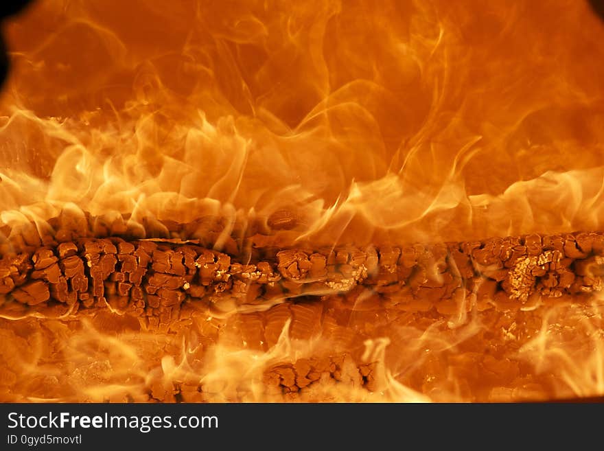 Flame, Geological Phenomenon, Computer Wallpaper, Organism