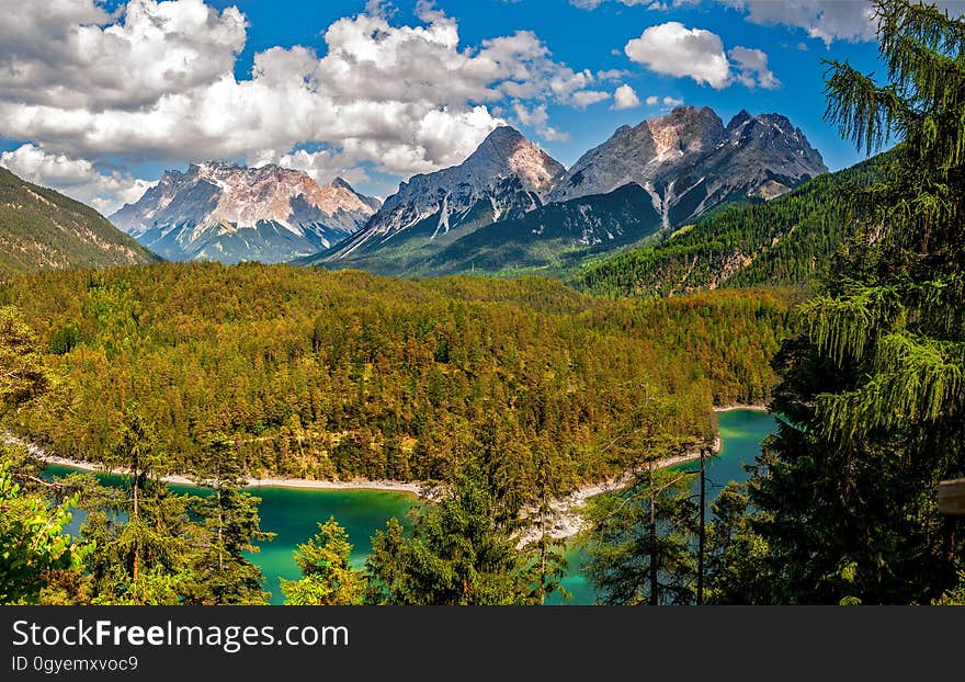 Nature, Wilderness, Nature Reserve, Mount Scenery