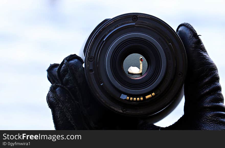 Camera Lens, Lens, Cameras & Optics, Photography