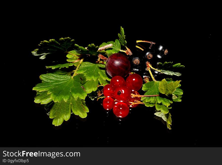 Fruit, Berry, Natural Foods, Currant