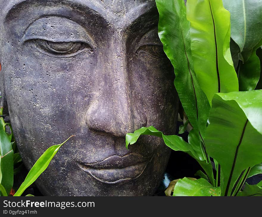 Green, Face, Statue, Sculpture