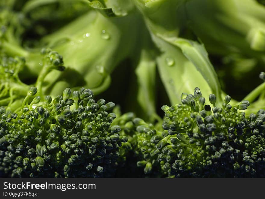 Broccoli, Leaf Vegetable, Water, Drop