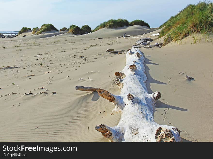 Oregon Dunes Oregon