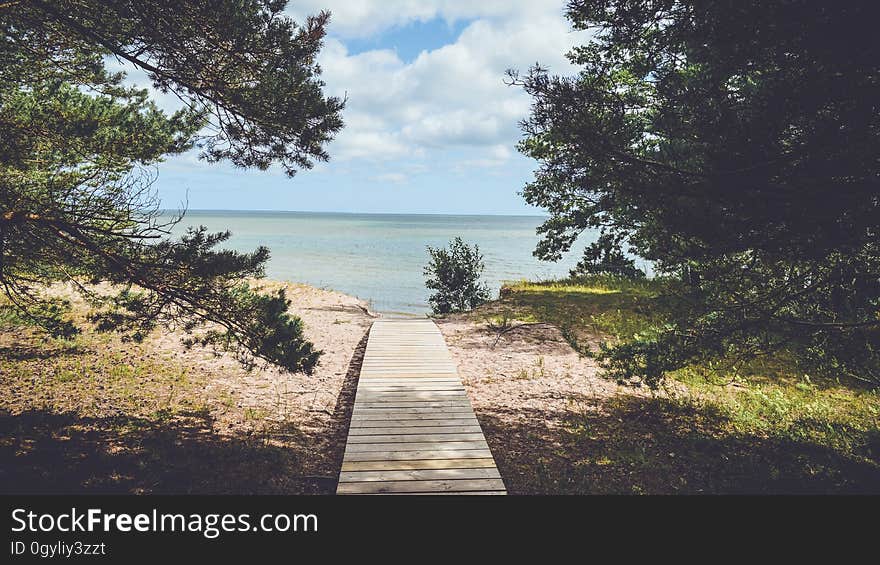 A boardwalk leading off to the beach at the seaside. A boardwalk leading off to the beach at the seaside.