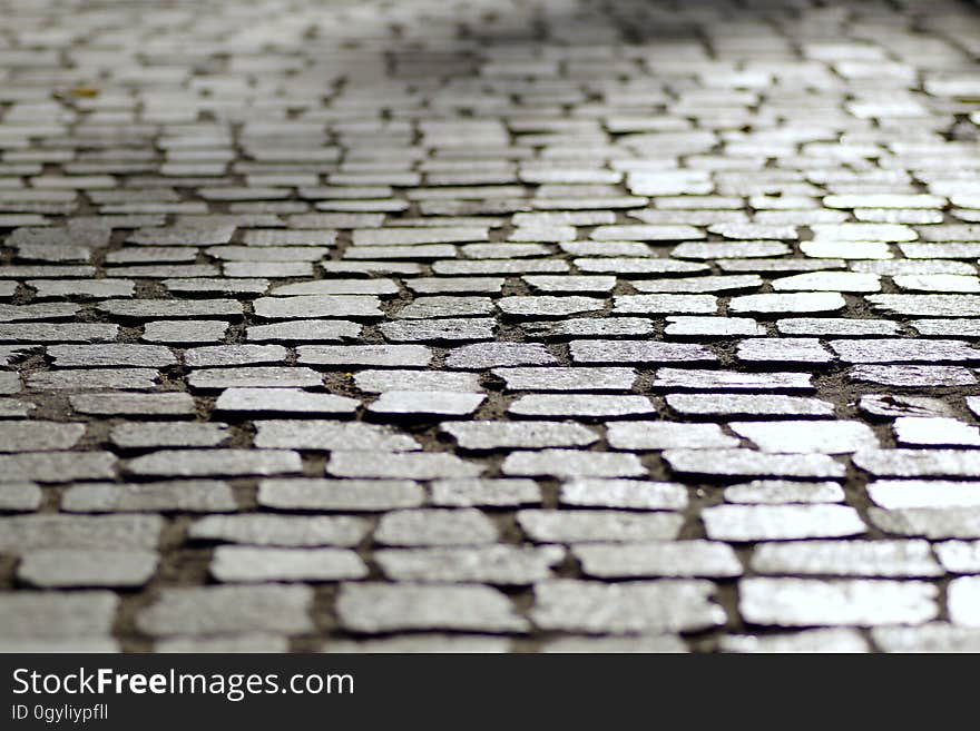 A sett stone background on a street. A sett stone background on a street.