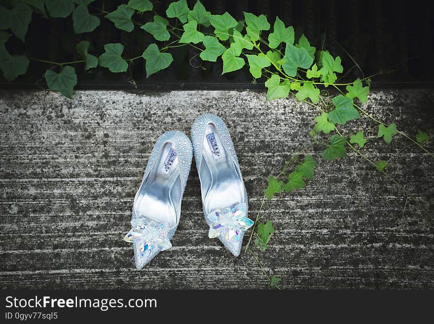 Silver shoes outdoors in green garden on sunny day. Silver shoes outdoors in green garden on sunny day.