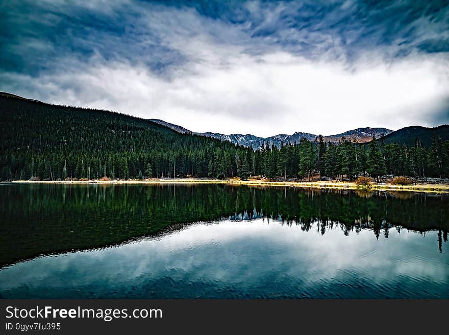 Pine tree forest reflecting in calm waters on sunny day. Pine tree forest reflecting in calm waters on sunny day.