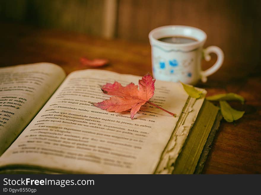 A hot cup of coffee next to a book with a maple leaf on it. A hot cup of coffee next to a book with a maple leaf on it.