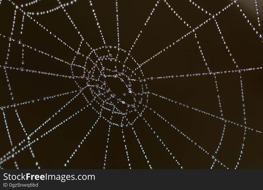 A spiderweb with dewdrops on it against a dark background.