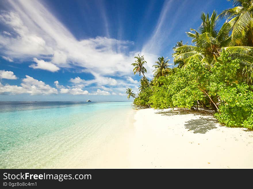 Empty sandy beach with blue waters and sunny skies. Empty sandy beach with blue waters and sunny skies.