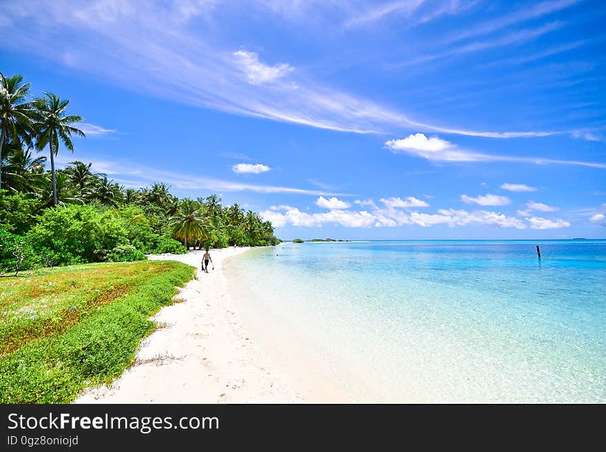 A person walking on a tropical beach by the sea.