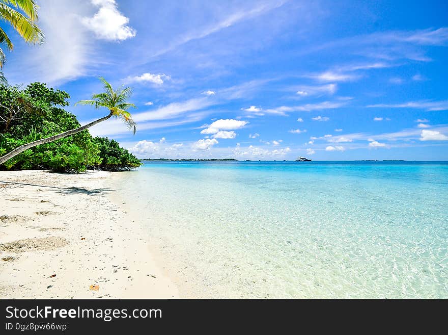 Scenic view of idyllic tropical beach with palm tree, blue sky and cloudscape.