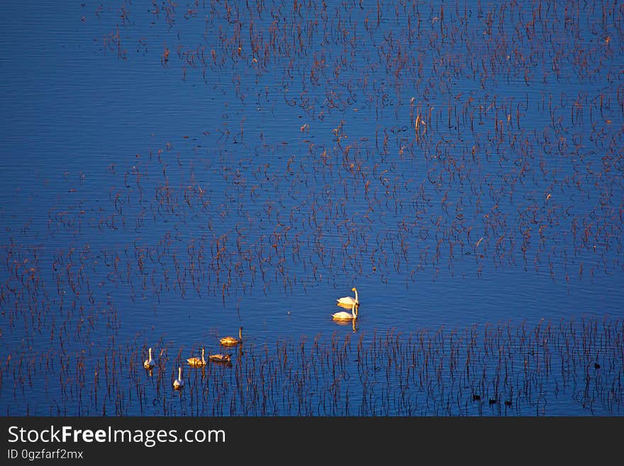 Blue, Sky, Water, Atmosphere