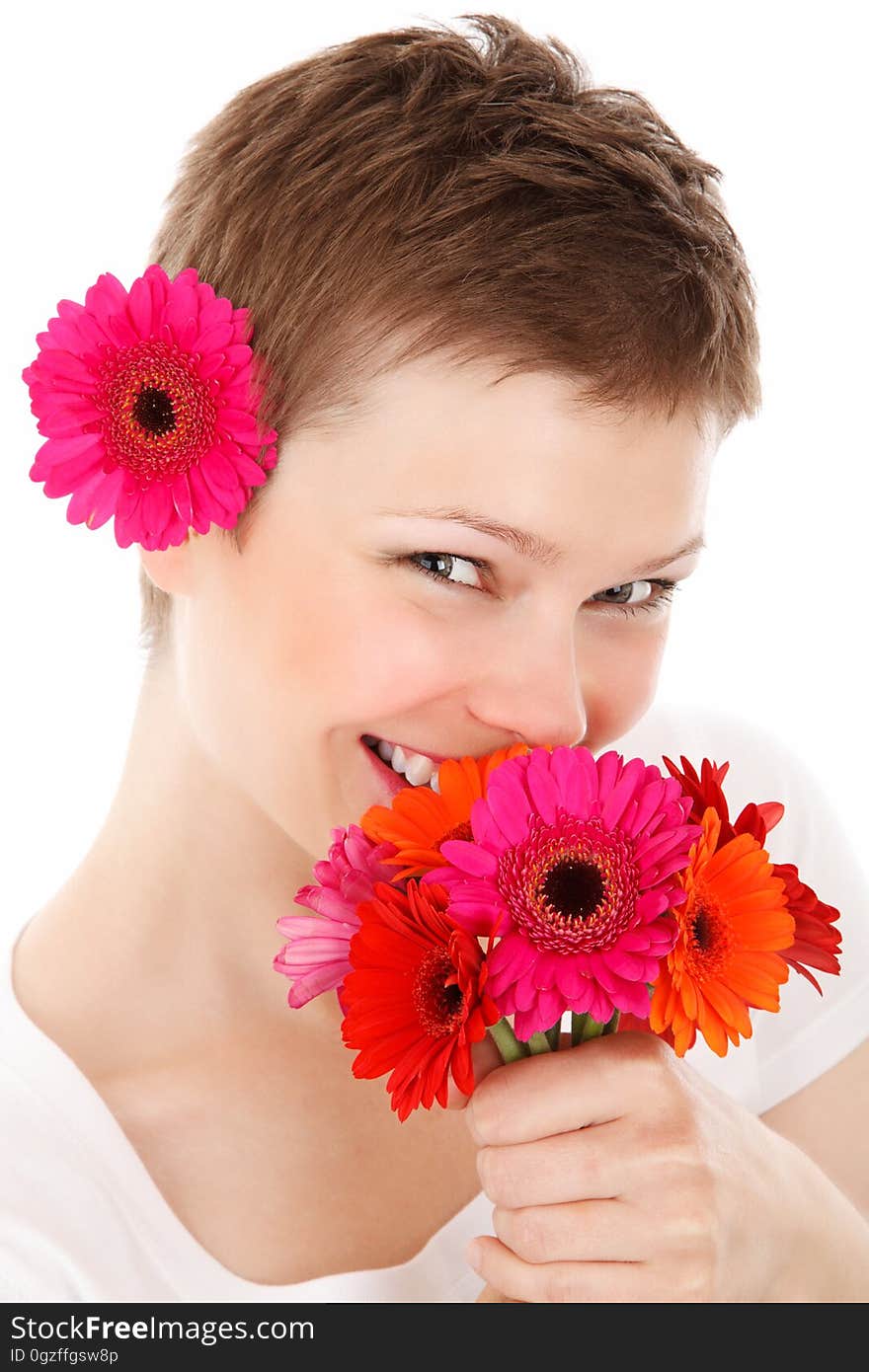 Flower, Flowering Plant, Gerbera, Cheek