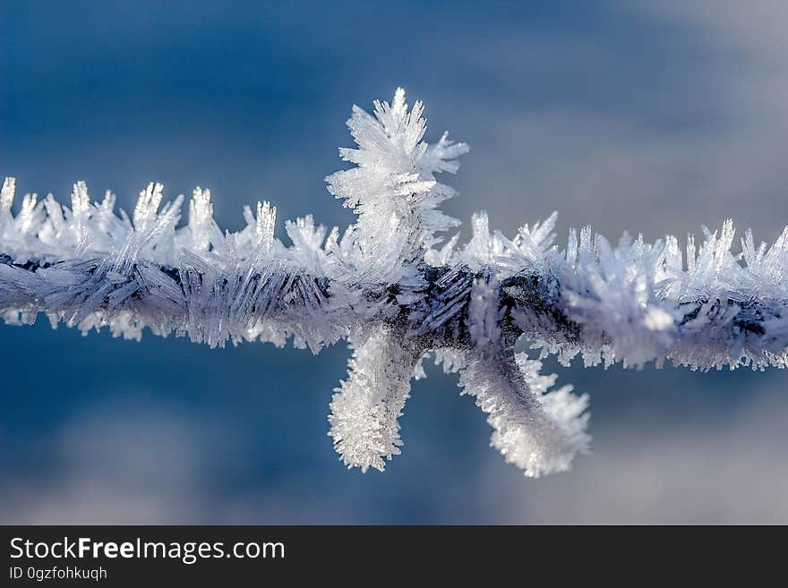 Frost, Freezing, Winter, Sky