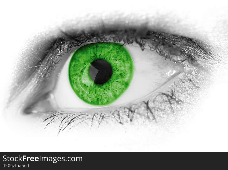 Eye, Green, Eyebrow, Close Up