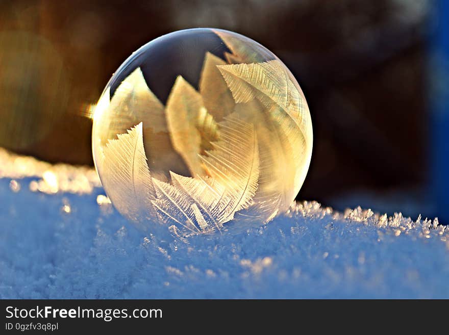 Close Up, Macro Photography, Freezing, Computer Wallpaper