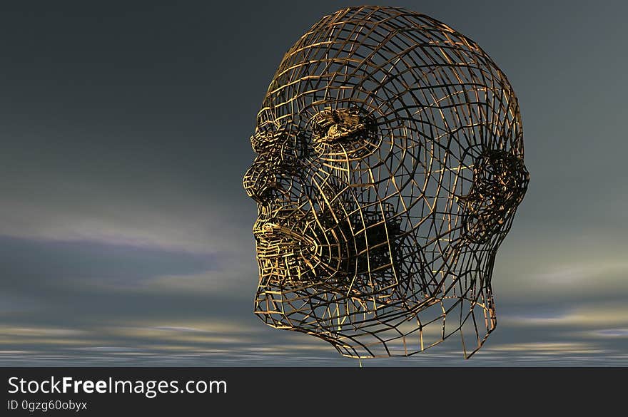 Head, Organism, Sky, Skeleton