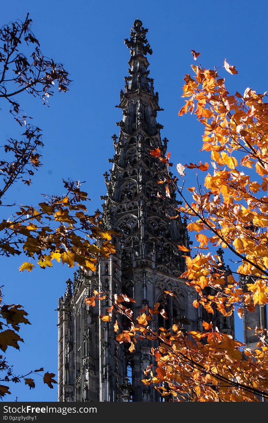 Sky, Landmark, Tree, Tower