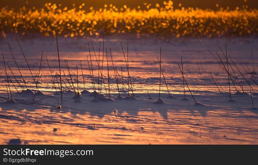 Water, Sky, Sunrise, Morning