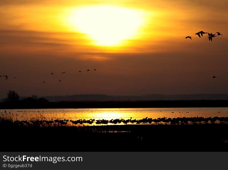 Sky, Afterglow, Horizon, Sunset