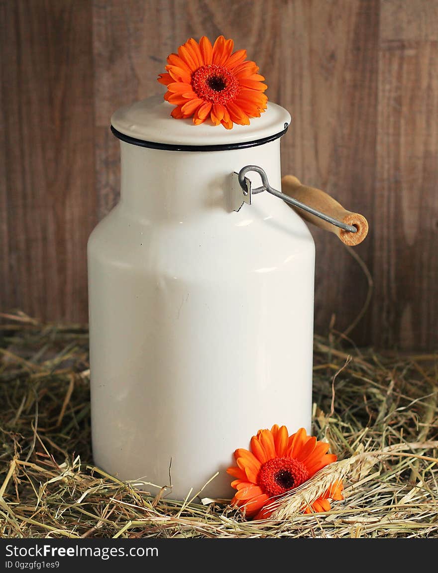 Vase, Flower, Ceramic, Still Life Photography