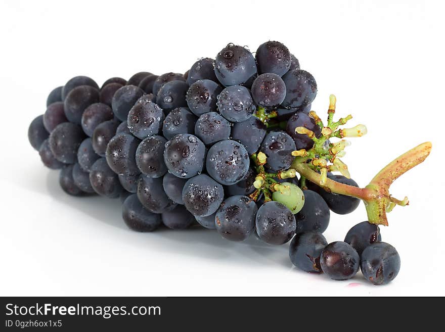 Grape, Fruit, Grapevine Family, Vitis