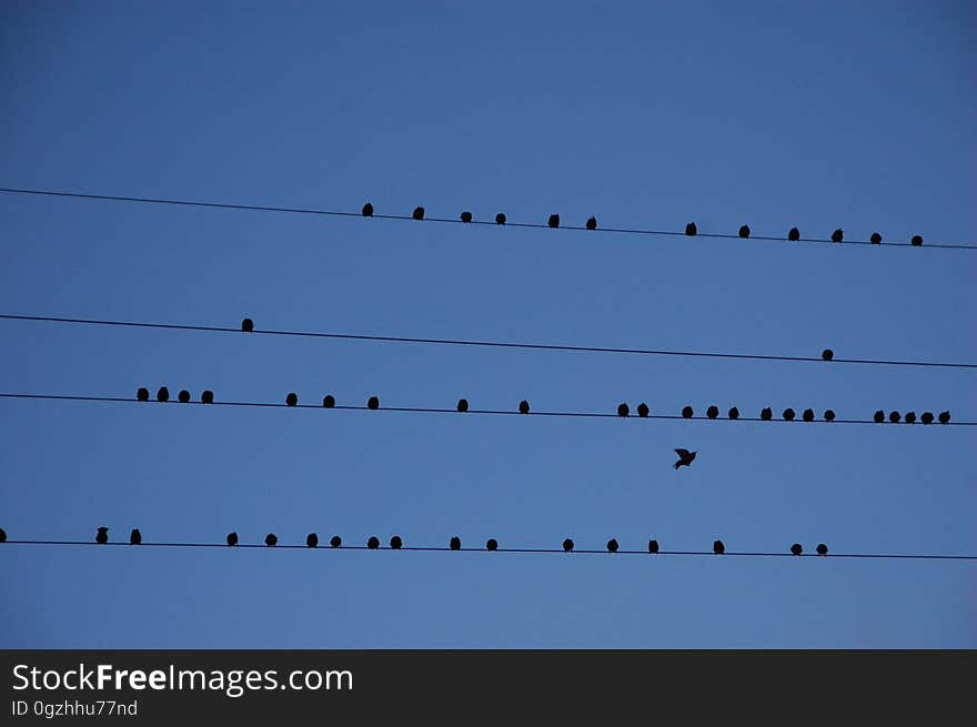 Sky, Atmosphere Of Earth, Line, Daytime